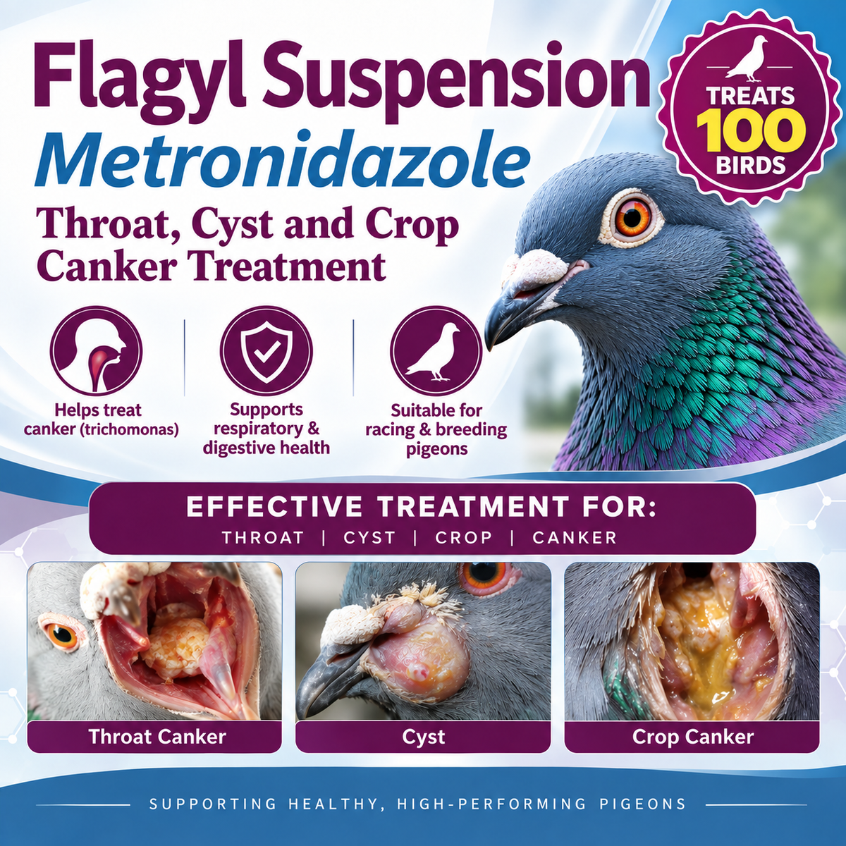 Canker Trichomonas up to 100 bird treatment 300 ml ( 5 day treatment )