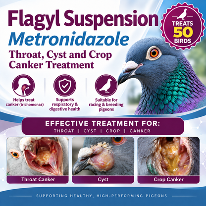 Canker Trichomonas up to 50 bird treatment 150ml ( 5 day treatment )