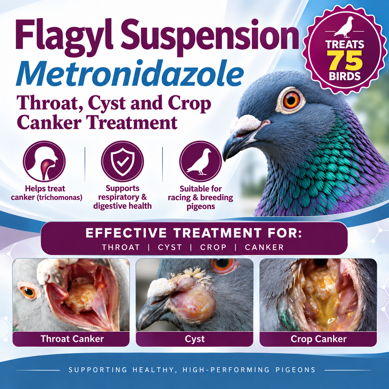 Canker Trichomonas up to 75 bird treatment 200ml (5 day treatment)