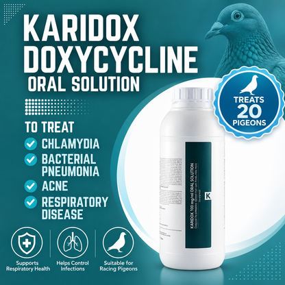 Pour traiter 20 pigeons. Karidox (doxycycline) contre la pneumonie bactérienne, l'acné, la chlamydia et les affections respiratoires – solution buvable de 100 ml.