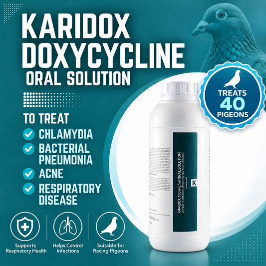 Zur Behandlung von 40 Tauben. Karidox (Doxycyclin) gegen bakterielle Lungenentzündung, Akne, Chlamydien, Atemwegserkrankungen – orale Lösung 200 ml